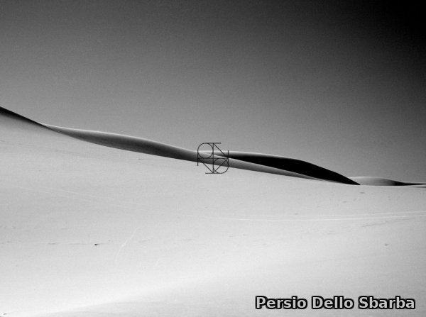 La Sottile Linea Curva