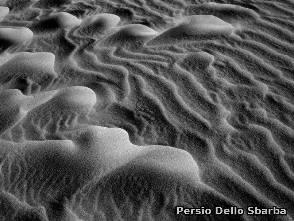 Meduse