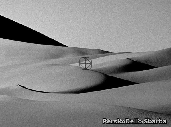 Volo di Rondini