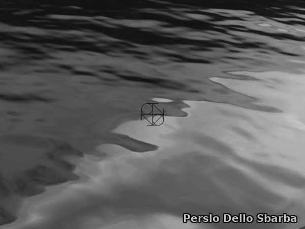 Contaminazione